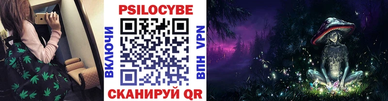 Псилоцибиновые грибы мицелий Георгиевск